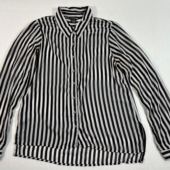Cotton Express Womens Striped Sheer Button Up Shirt Size L - Picture 1 of 11